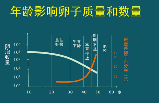 年龄影响卵子质量和数量