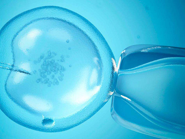 二代供精试管放几个囊胚成功率高