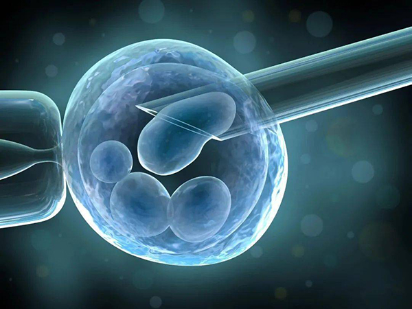 黄体期促排方案为什么不能移鲜胚