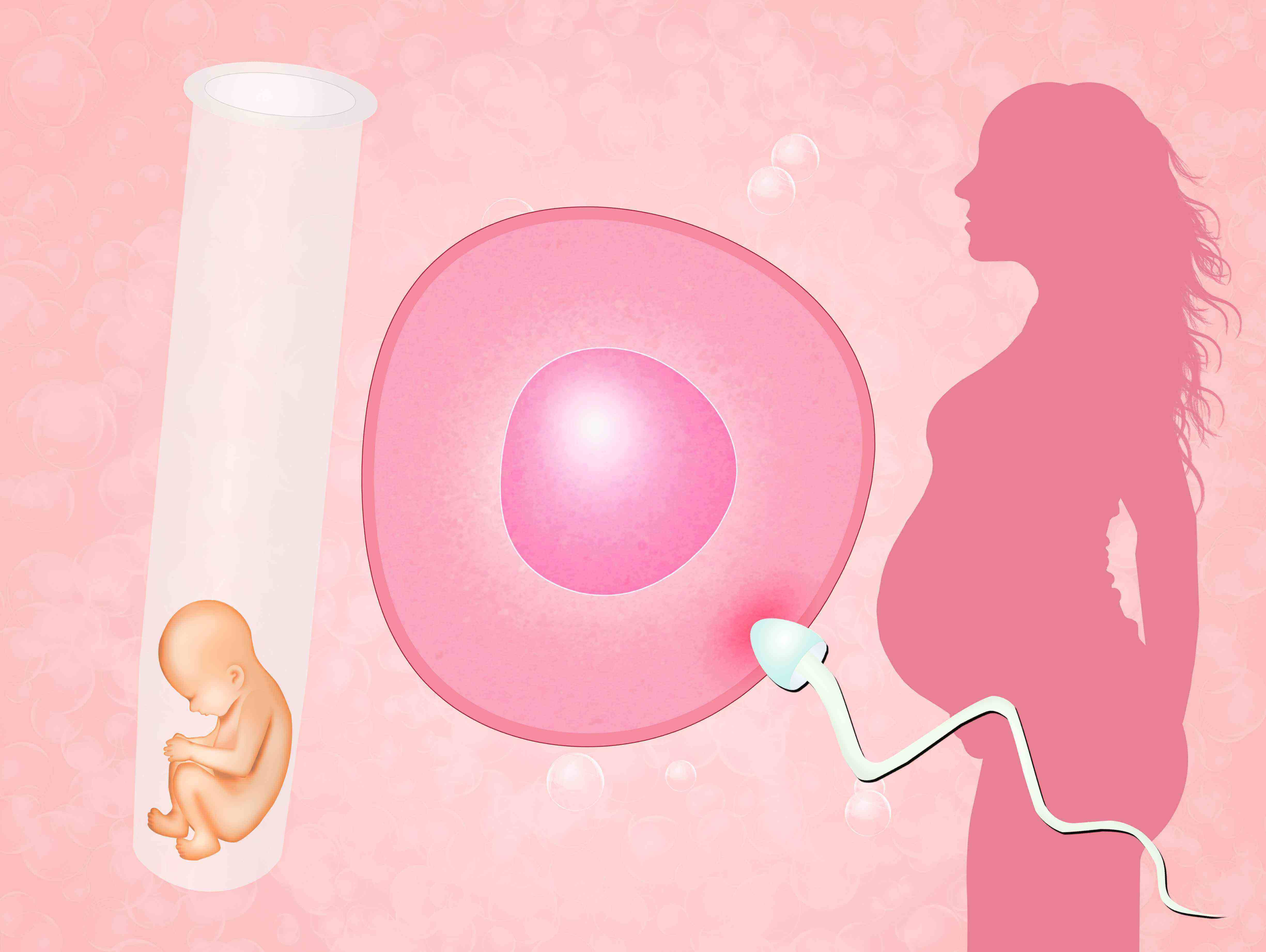 试管促排是否会导致卵巢早衰