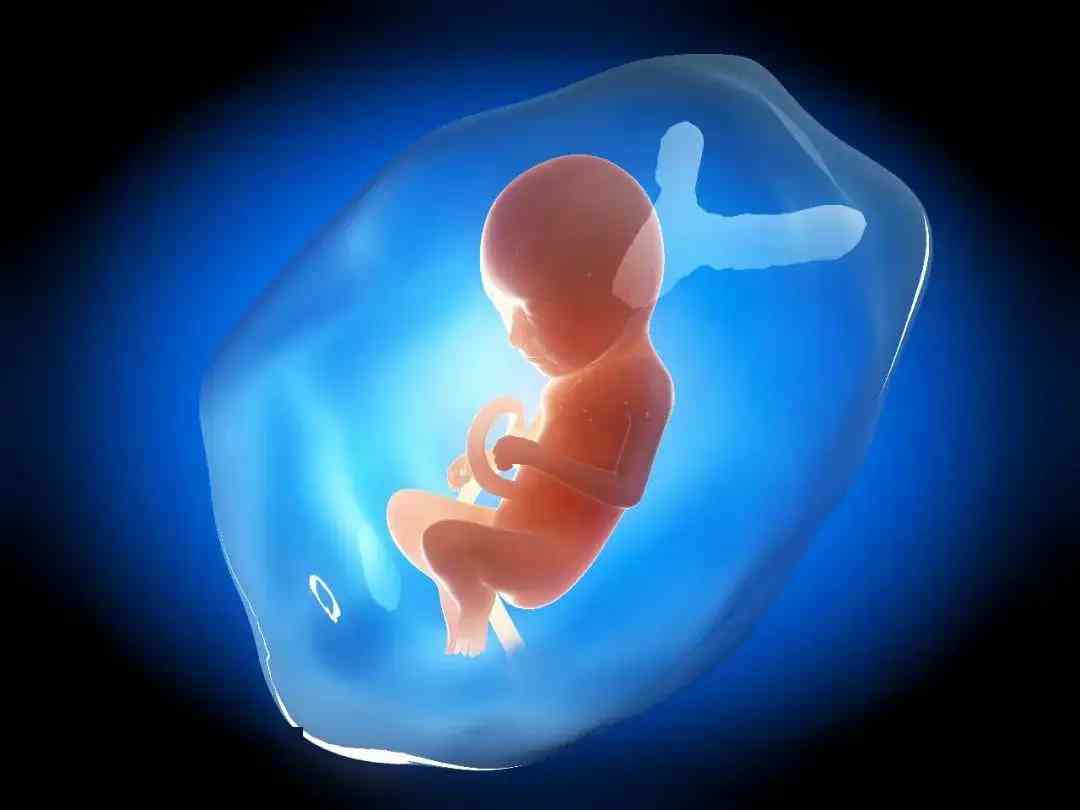 5ba囊胚的质量及移植成功率