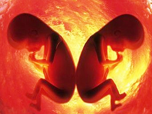 胚胎移植两枚生双胎的概率