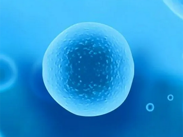 分享试管助孕预防空卵泡方法
