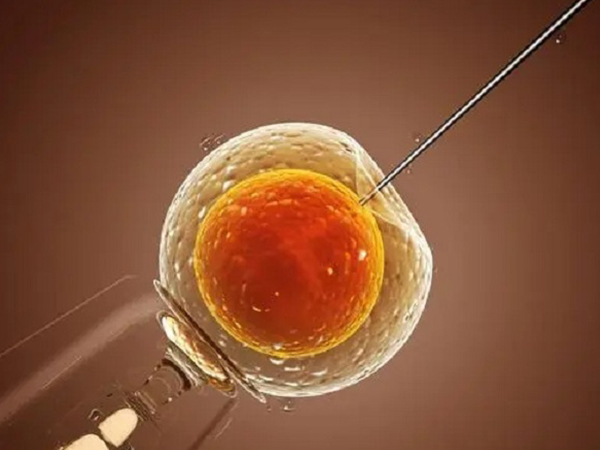 试管胚胎等级划分方法