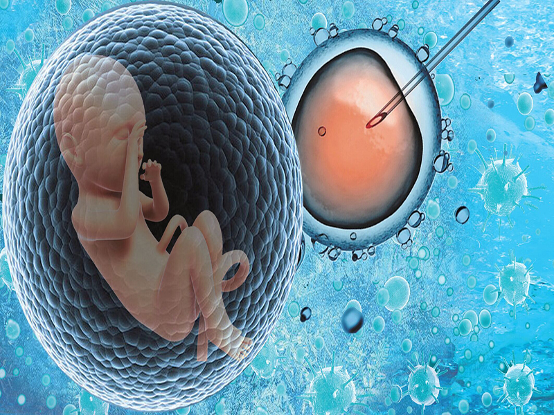 胚胎着床表现分享
