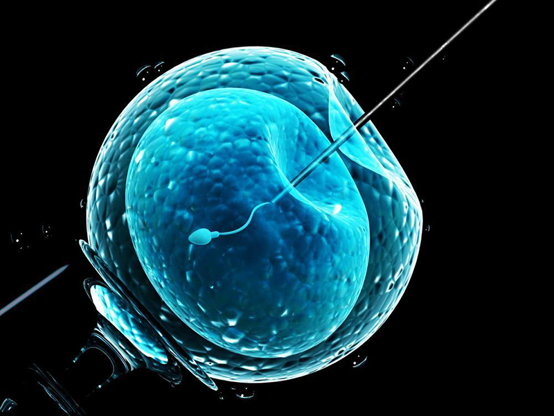 胚胎移植的目的、流程及注意事项