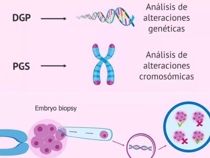染色体异常出现的5大原因