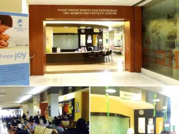 马来西亚tmc医院试管成功率参考