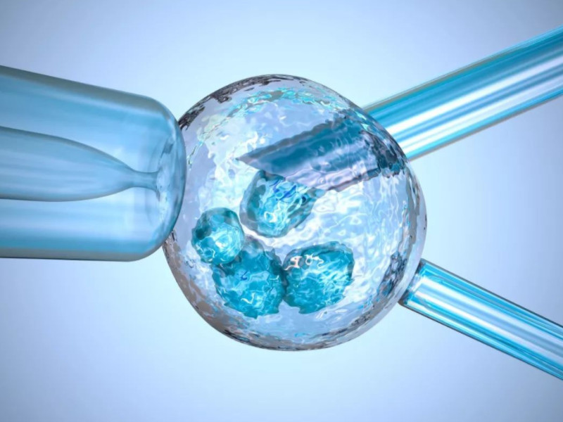 美国试管可否选胚胎性别移植龙凤胎