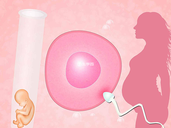 女性不孕症可以做第一代试管婴儿