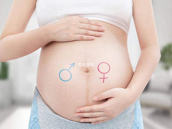 第三代试管婴儿可以选择胎儿性别