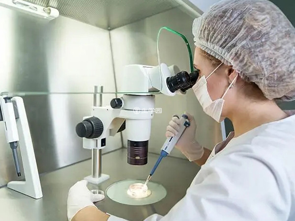 胚胎养成可以采用在胚胎观察器下进行观察