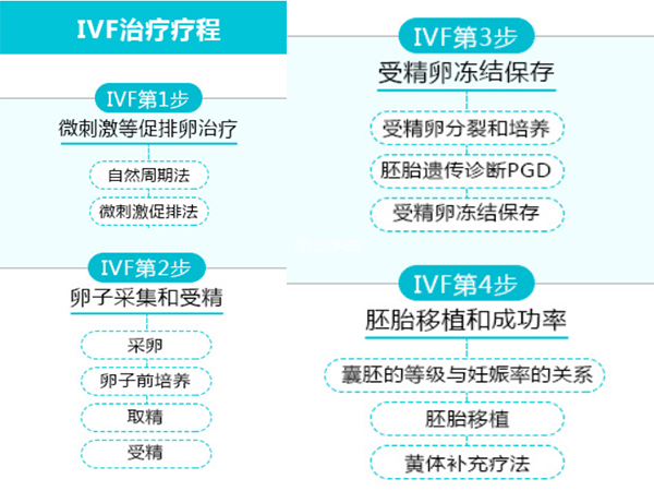 美国试管婴儿流程并不复杂