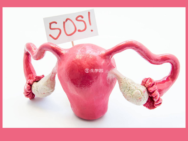 石女做子宫移植手术的条件在国内还不成熟