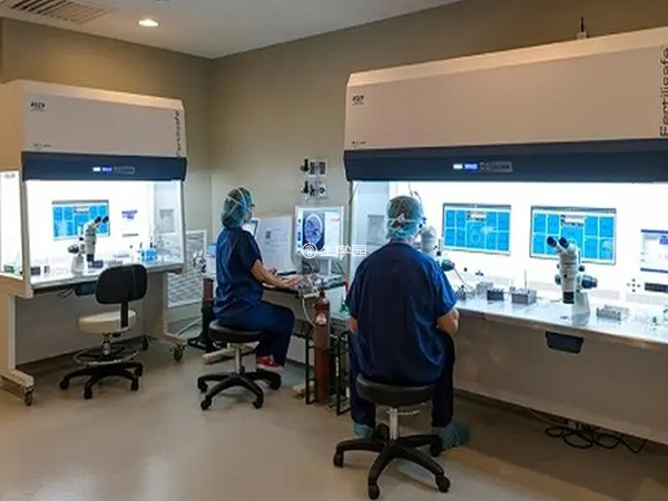 泰国胚胎实验室采用高端技术
