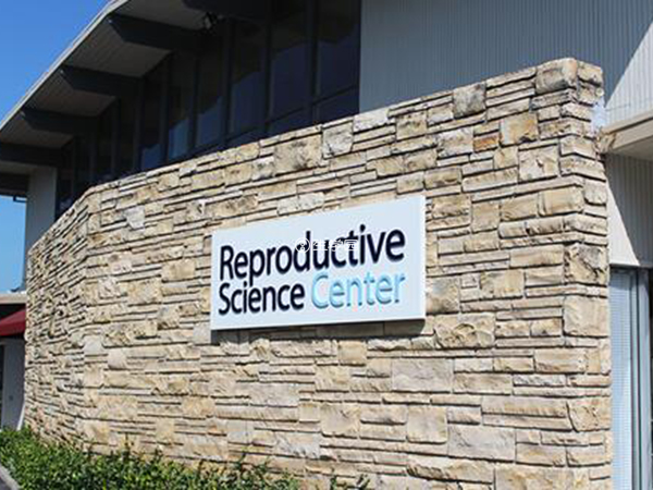 RSC生殖中心大龄试管成功率高达74%