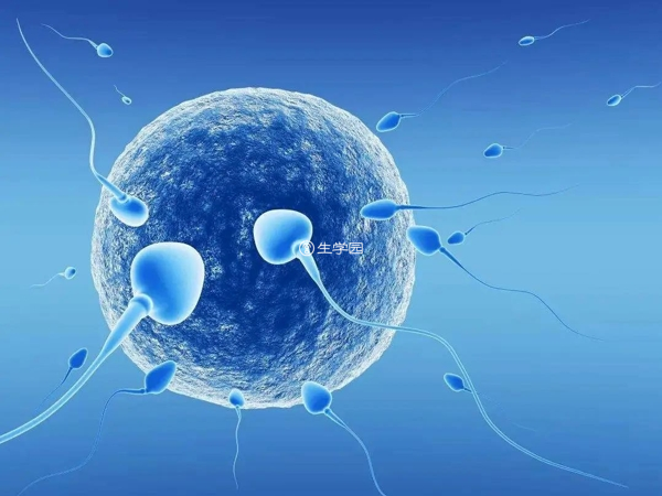 二代试管无法进行胚胎性染色体筛查