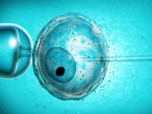 国内禁止做非医学需要的胚胎性别鉴定