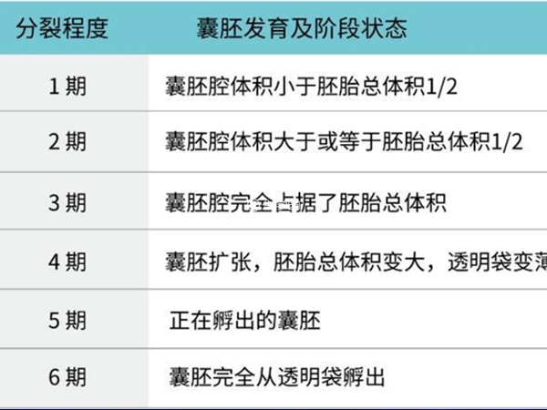 囊胚会应用新的评级标准