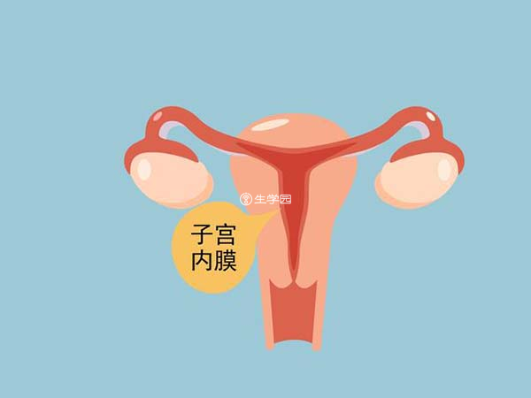 子宫内膜厚是很多女性会出现的妇科疾病
