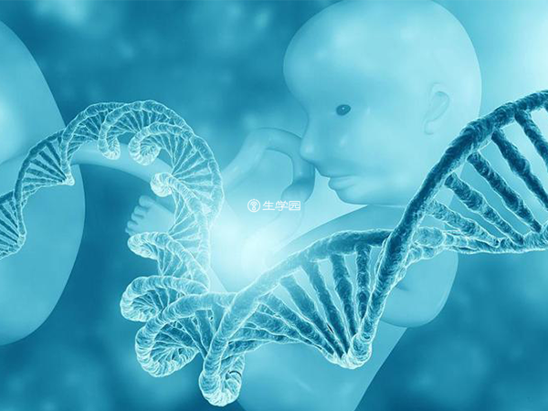 胚胎移植后HCG增长不明显有生化妊娠的可能