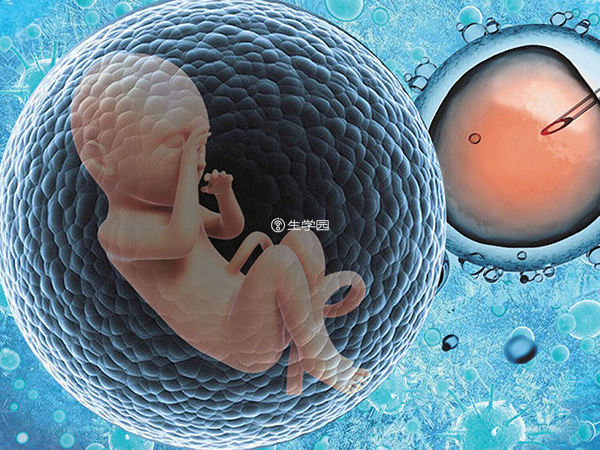 卵巢早衰可以通过试管助孕