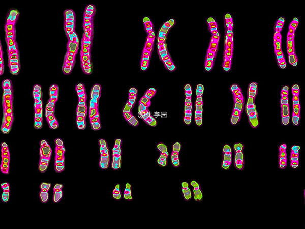 正常人染色体异常概率非常小