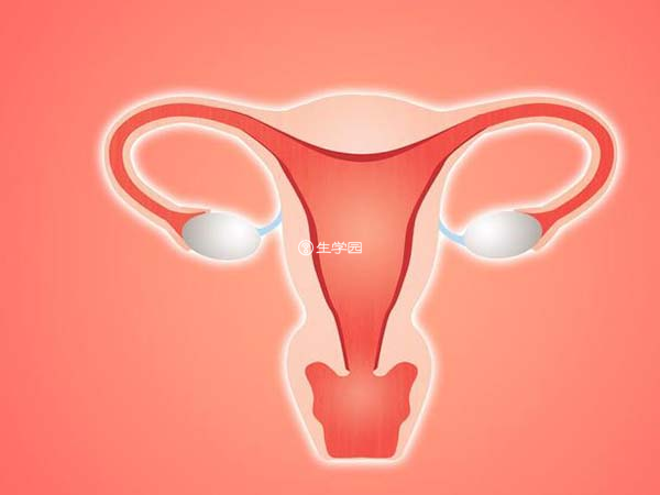 子宫内膜厚度随着周期变化