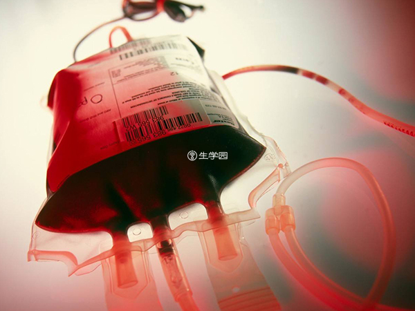 输血治疗维持血红蛋白水平