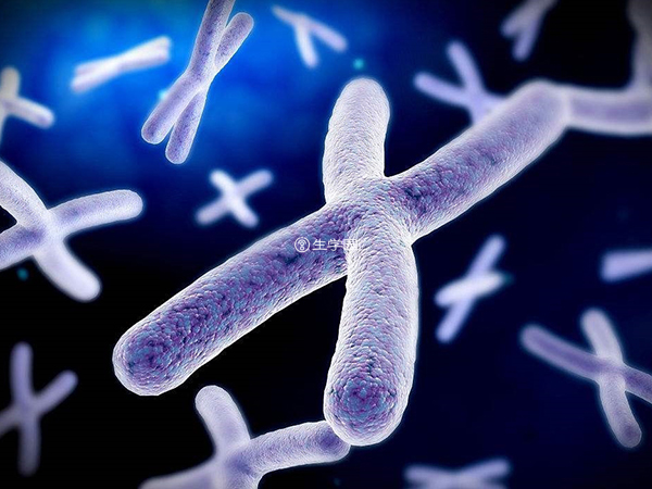 人体染色体变异可能会威胁到生命