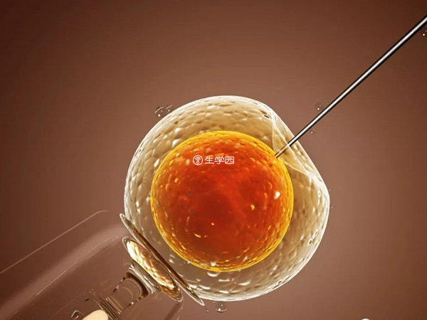 供精二代试管可以放两个囊胚