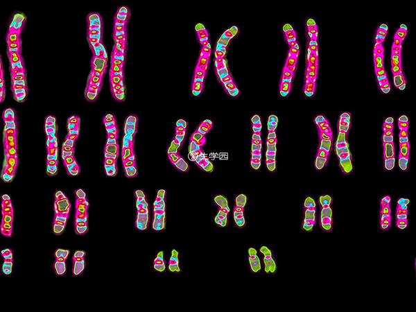 染色体异常会遗传疾病