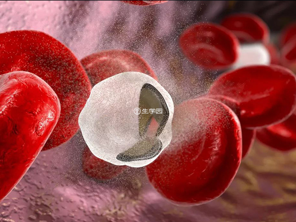 造血干细胞移植能根治