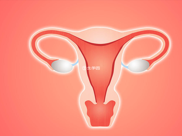 怀孕16周左右也可能出现胚胎停育