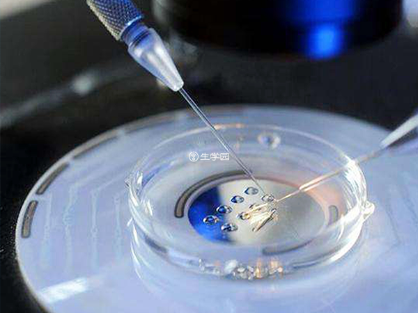 染色体异常导致的胚胎停育可以做三代试管