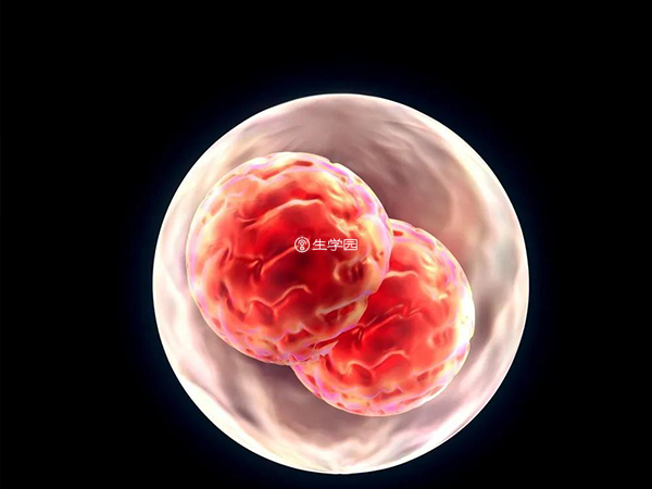胚胎停育是孕妈最不想看到的