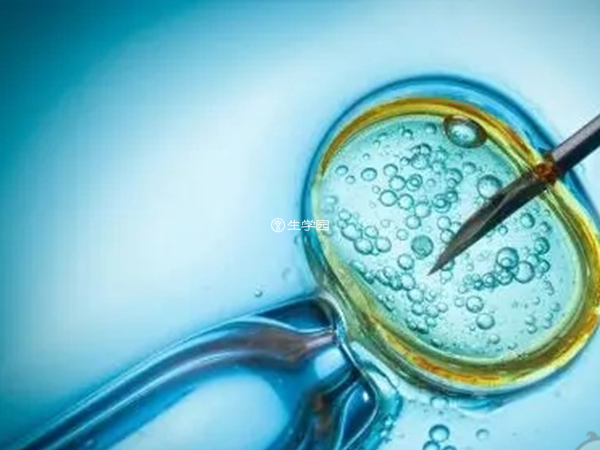精子质量不好可能导致出现胚胎停育