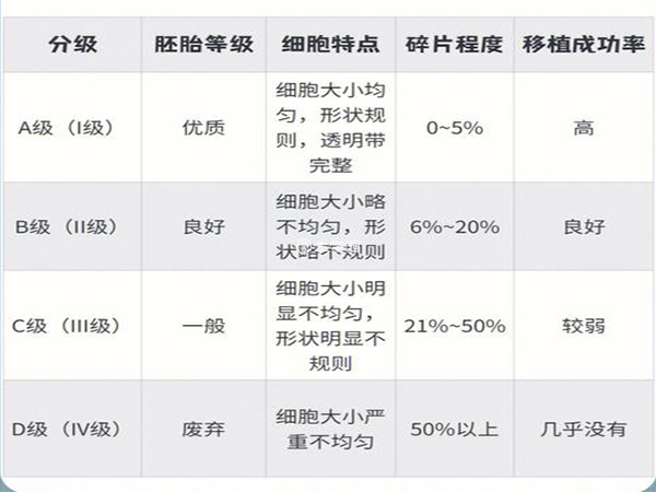 囊胚等級需要細分