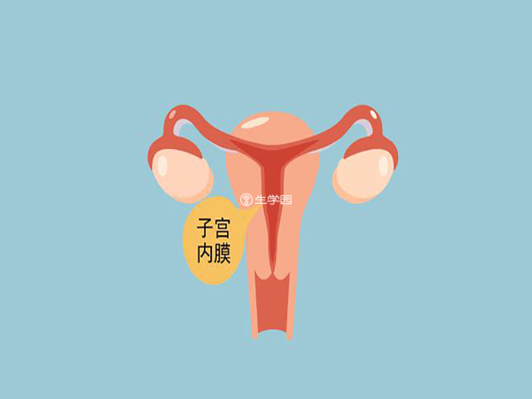 AMH通常被用以评估卵巢的卵子库存