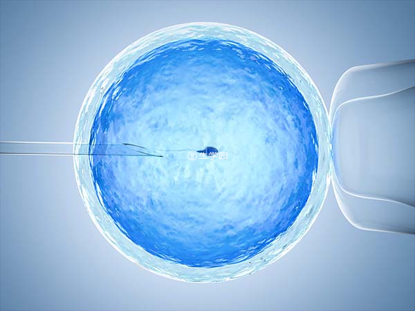 8c3胚胎是一般可移植的胚胎