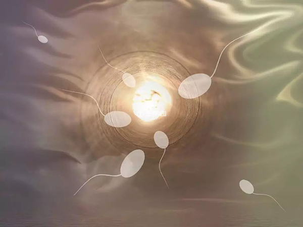 自然周期的人工授精也会安排监测排卵