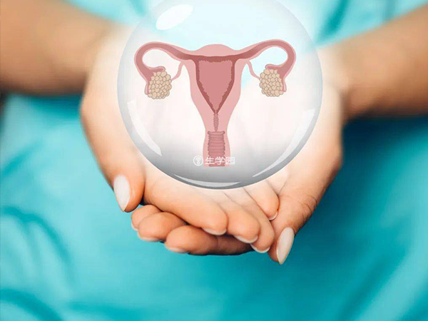 鲜胚移植对女性的子宫环境要求比较高