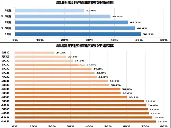 囊胚等级与成功率关系