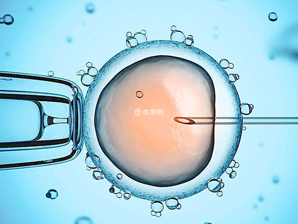 胚胎移植是试管婴儿过程的重要环节
