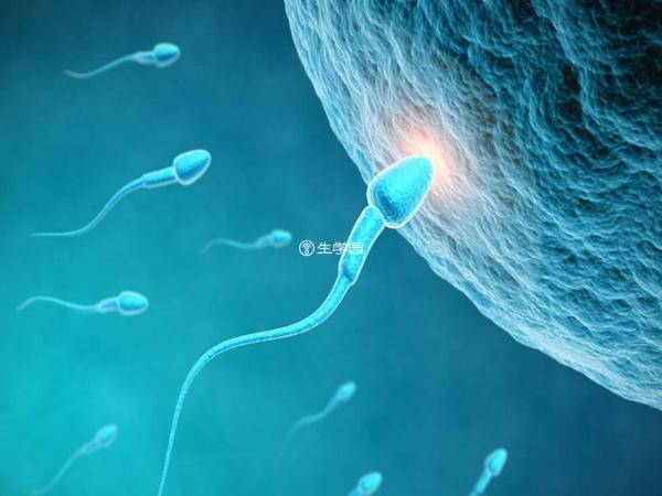 单精子注射技术能帮助少男性解决生育