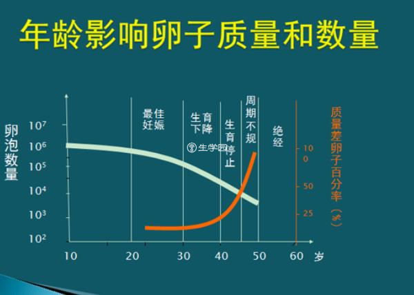 年龄会影响卵子质量和数量