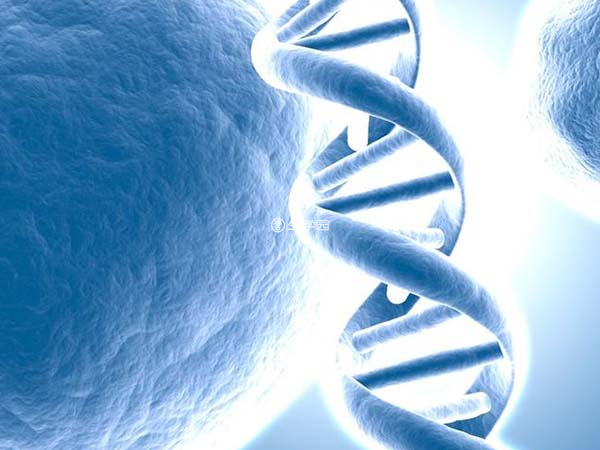 抗dna抗体可能造成胎儿胎停