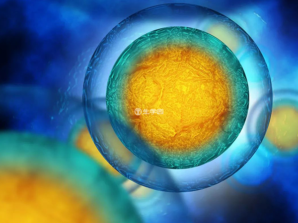 科学促排方案收获优质卵子