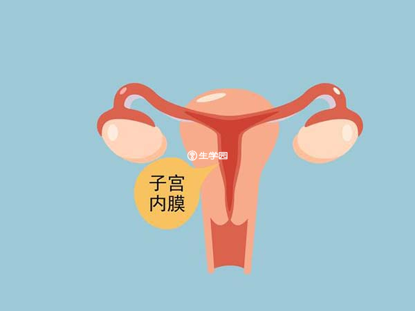 子宮內膜厚度監測