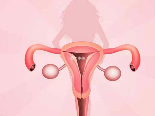 宫腔镜检查可以排除子宫息肉